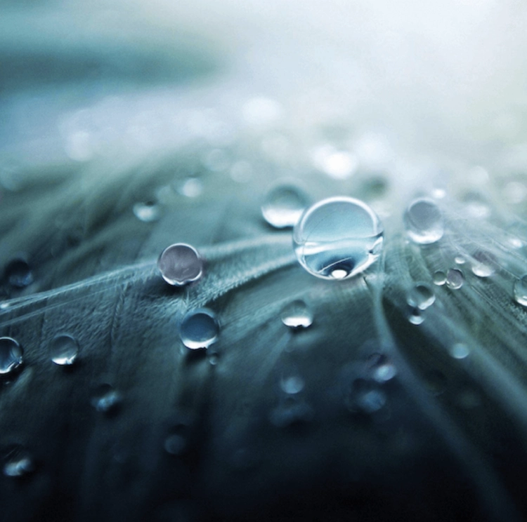 Titelfläche einer Webseite der Frei AquaService AG zum Thema weiches Wasser, mit Wassertropfen auf einer Oberfläche und erklärendem Text zu Wasserenthärtung und Kalkbeseitigung.