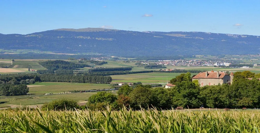 Blick auf die Orbe-Ebene